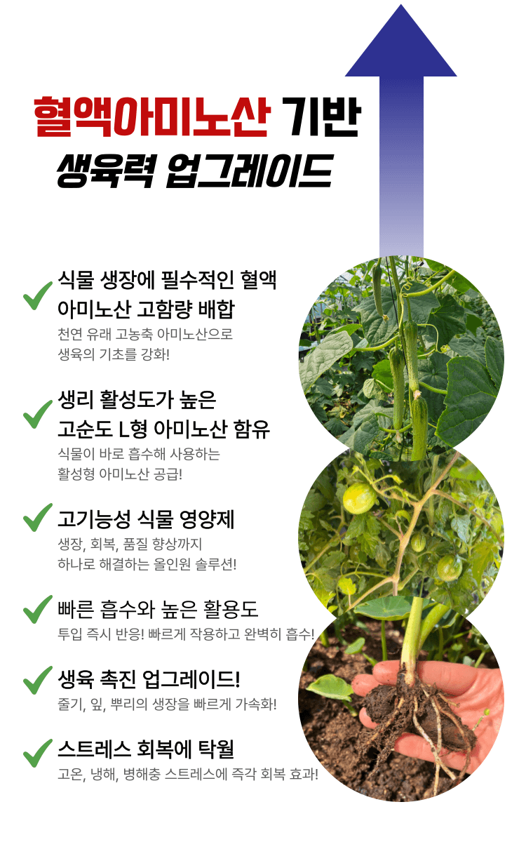 병천아그로(주)법인님의 장터 판매 상품 [혈미노산 10L 작물활력제 아미노산비료 오이 고추 생장촉진제] 첨부 사진