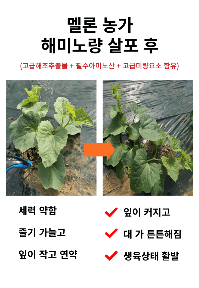 병천아그로(주)법인님의 장터 판매 상품 [코리아아그로 해미노량 500ml 식물영양제 해조추출물 아미노산 대용량 효과빠른 비료] 첨부 사진
