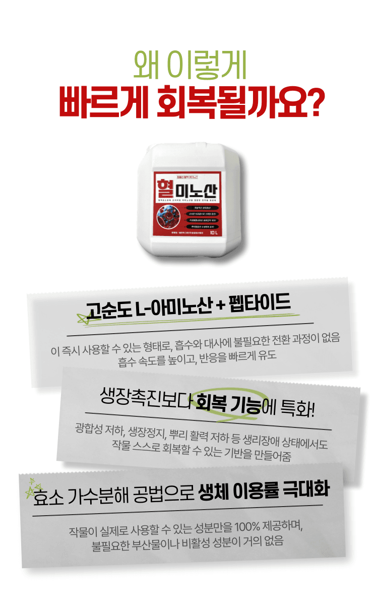 병천아그로(주)법인님의 장터 판매 상품 [혈미노산 10L 작물활력제 아미노산비료 오이 고추 생장촉진제] 첨부 사진