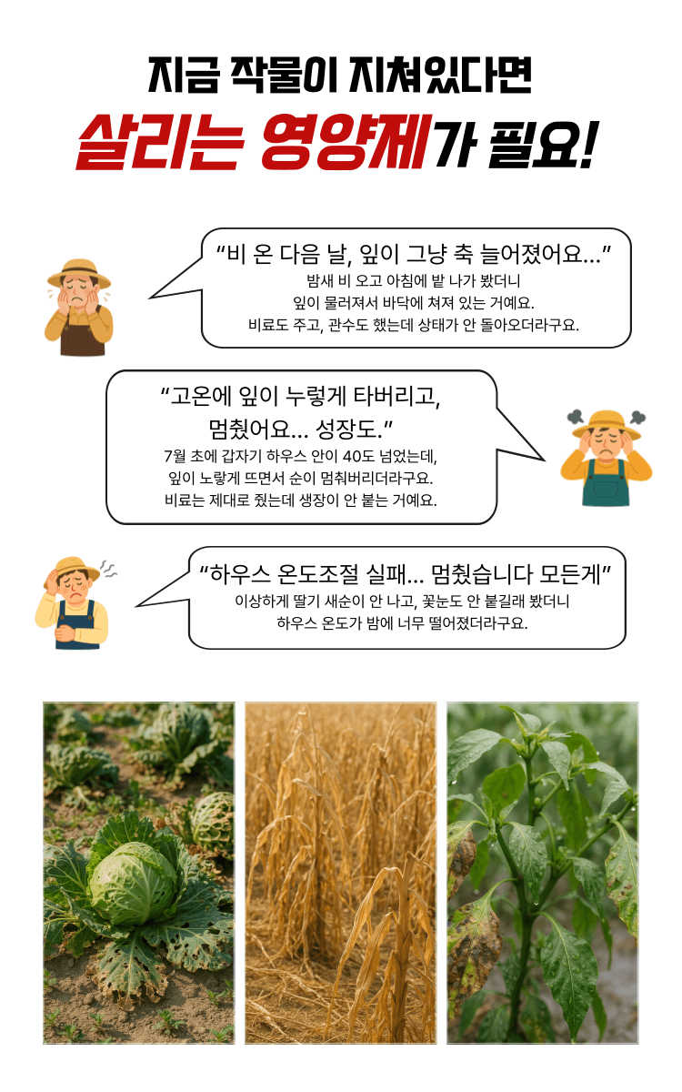 병천아그로(주)법인님의 장터 판매 상품 [혈미노산 10L 작물활력제 아미노산비료 오이 고추 생장촉진제] 첨부 사진