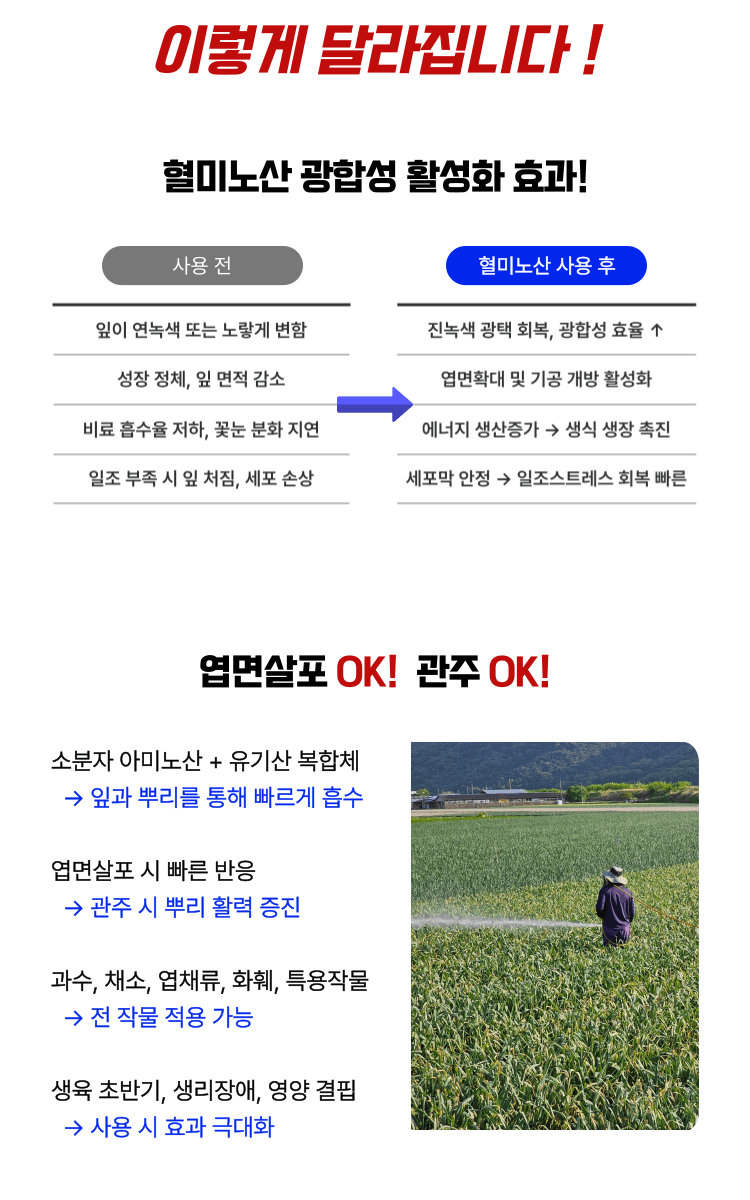 병천아그로(주)법인님의 장터 판매 상품 [혈미노산 10L 작물활력제 아미노산비료 오이 고추 생장촉진제] 첨부 사진