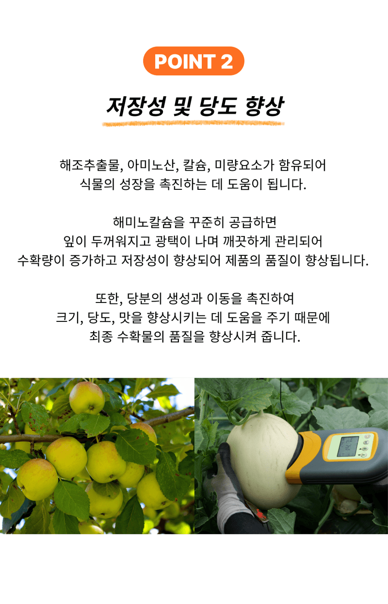 병천아그로(주)법인님의 장터 판매 상품 [코리아아그로 해미노칼슘 200ml 식물영양제 칼슘비료 복합비료 해조추출물 아미노산] 첨부 사진