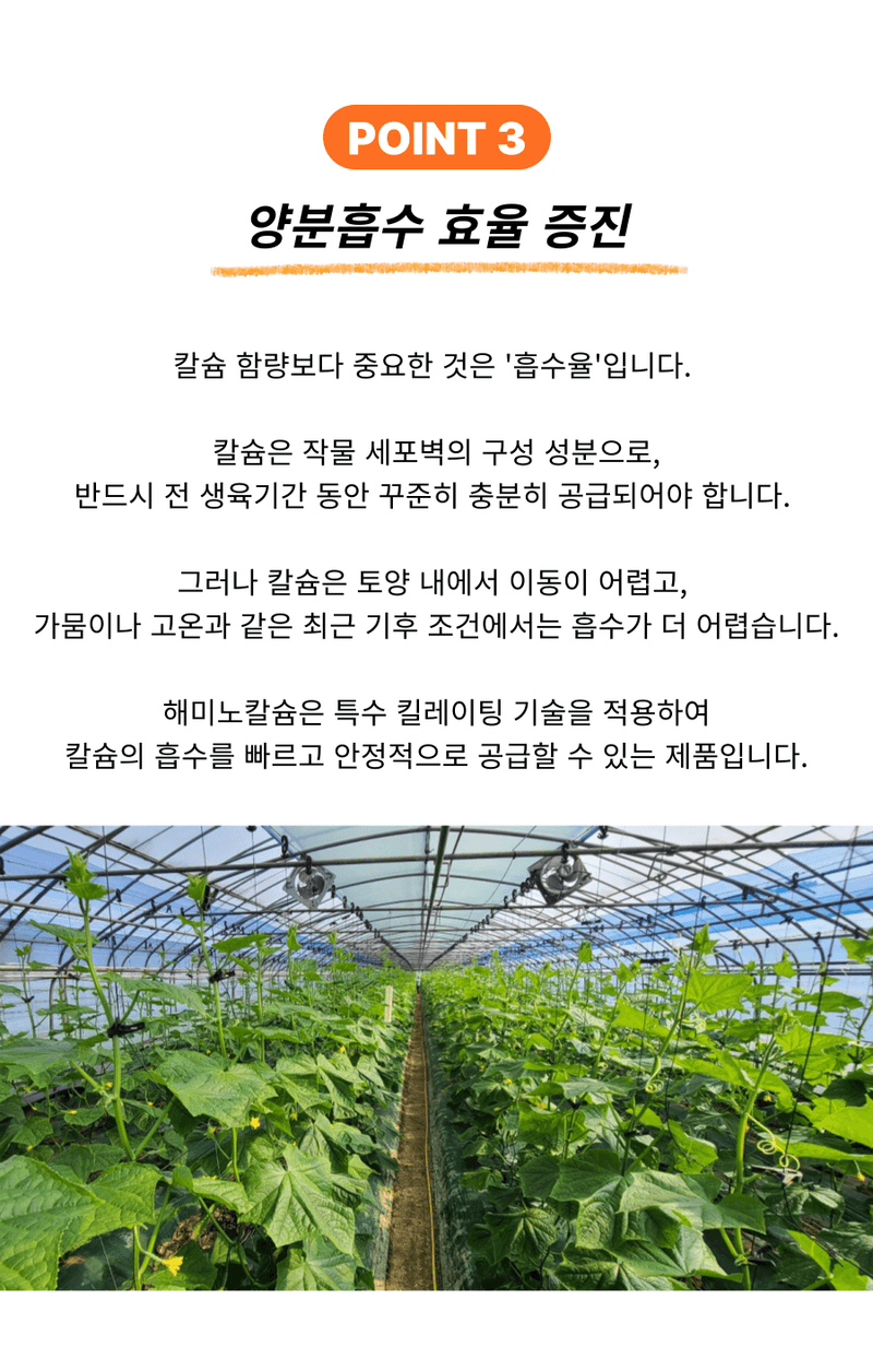 병천아그로(주)법인님의 장터 판매 상품 [코리아아그로 해미노칼슘 500ml, 200ml 식물 칼슘결핍 예방 고함량 액상칼슘 비료 과일 채소 과수용] 첨부 사진
