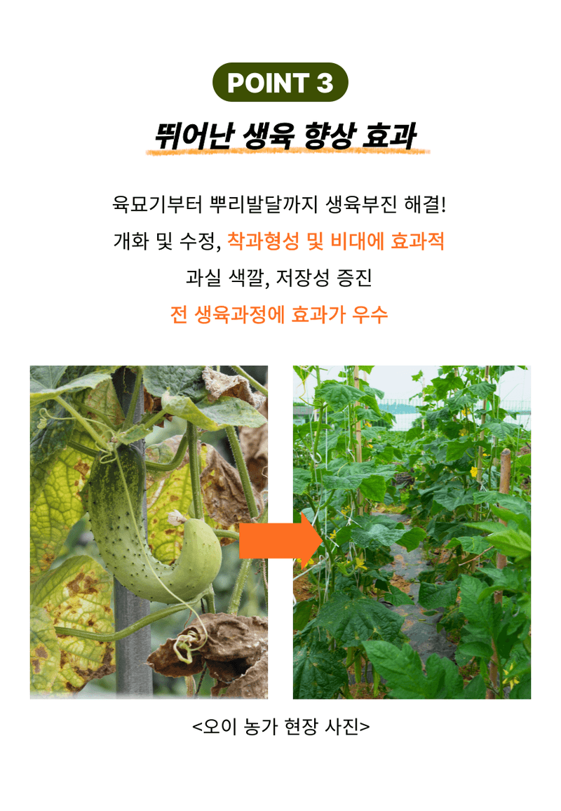 병천아그로(주)법인님의 장터 판매 상품 [코리아아그로 해미노산 10L 식물영양제 해조추출물 아미노산 대용량 효과빠른 비료] 첨부 사진