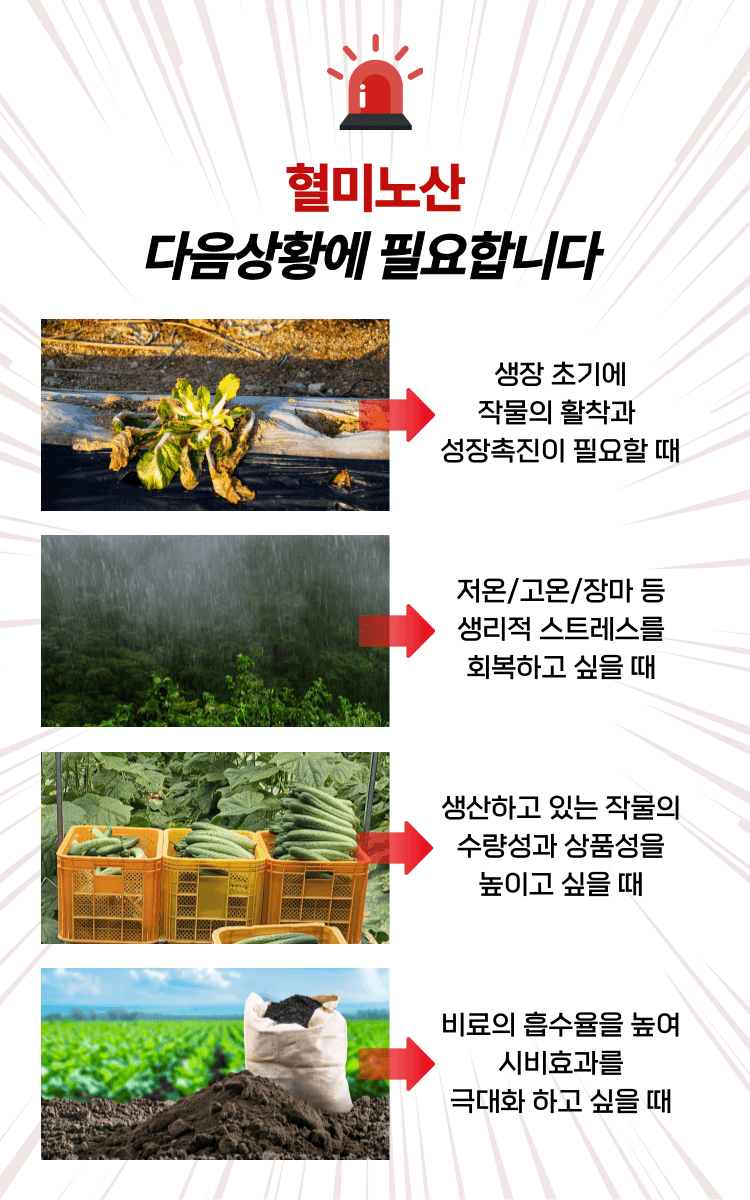 병천아그로(주)법인님의 장터 판매 상품 [혈미노산 10L 작물활력제 아미노산비료 오이 고추 생장촉진제] 첨부 사진