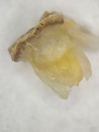 토마토수집가님의 자유주제 · 자유게시판 작성글 사진