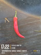 팜모닝 자유주제·자유게시판 게시글 이미지