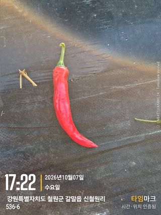 이종권님의 자유주제·자유게시판 작성글 사진
