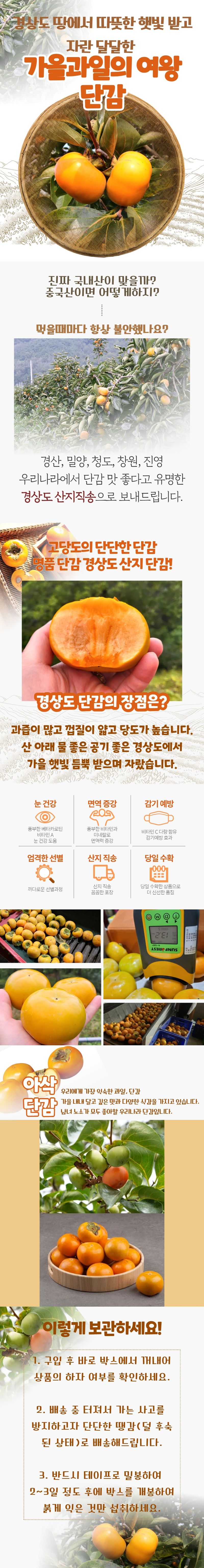 팜포켓님의 장터 판매 상품 [산지직송 고당도 햇 경상도 단감 부유단감 5kg~10kg] 첨부 사진