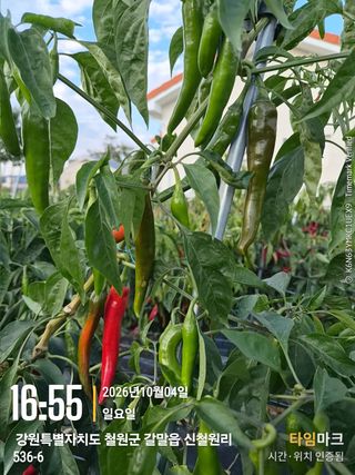 이종권님의 자유주제 · 자유게시판 작성글 사진