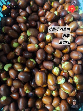 최상길 님의 자유주제 · 자유게시판 작성글 사진