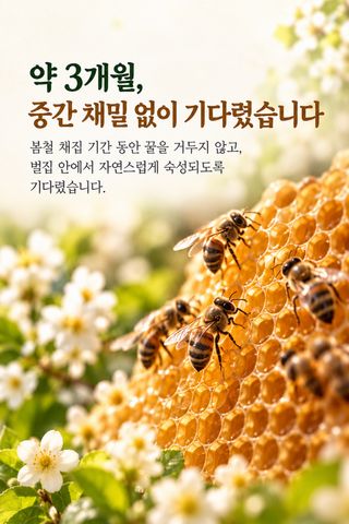 서정현님의 작성글 사진