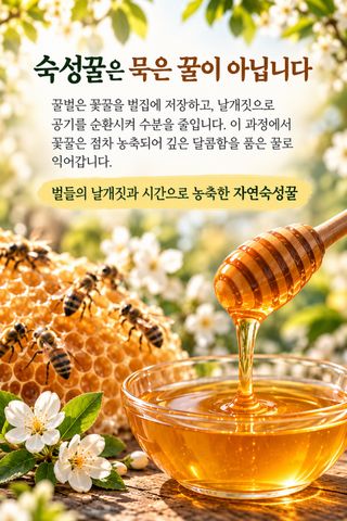 서정현님의 작성글 사진