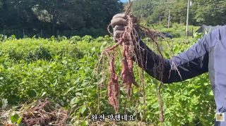 누보농장님의 자유주제 · 자유게시판 작성글 사진