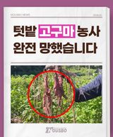 팜모닝 자유주제·자유게시판 게시글 이미지