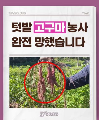 누보농장님의 자유주제 · 자유게시판 작성글 사진