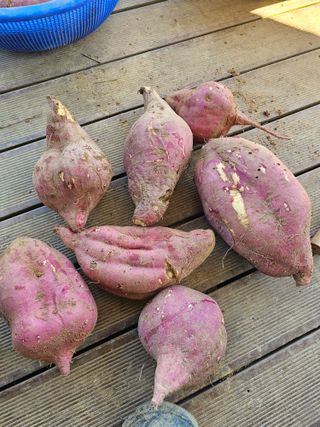 이부균님의 자유주제 · 자유게시판 작성글 사진
