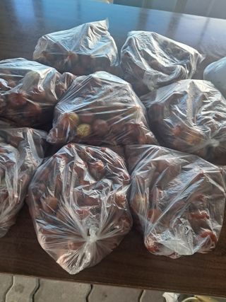 전희분님의 자유주제·사진전 작성글 사진