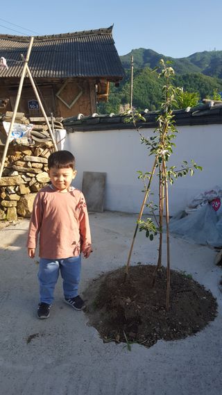 유일기님의 자유주제 · 자유게시판 작성글 사진