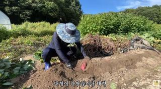 누보농장님의 자유주제 · 자유게시판 작성글 사진