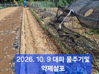 박성민님의 자유주제·자유게시판 작성글 사진