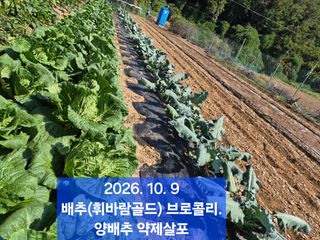 박성민님의 자유주제 · 자유게시판 작성글 사진