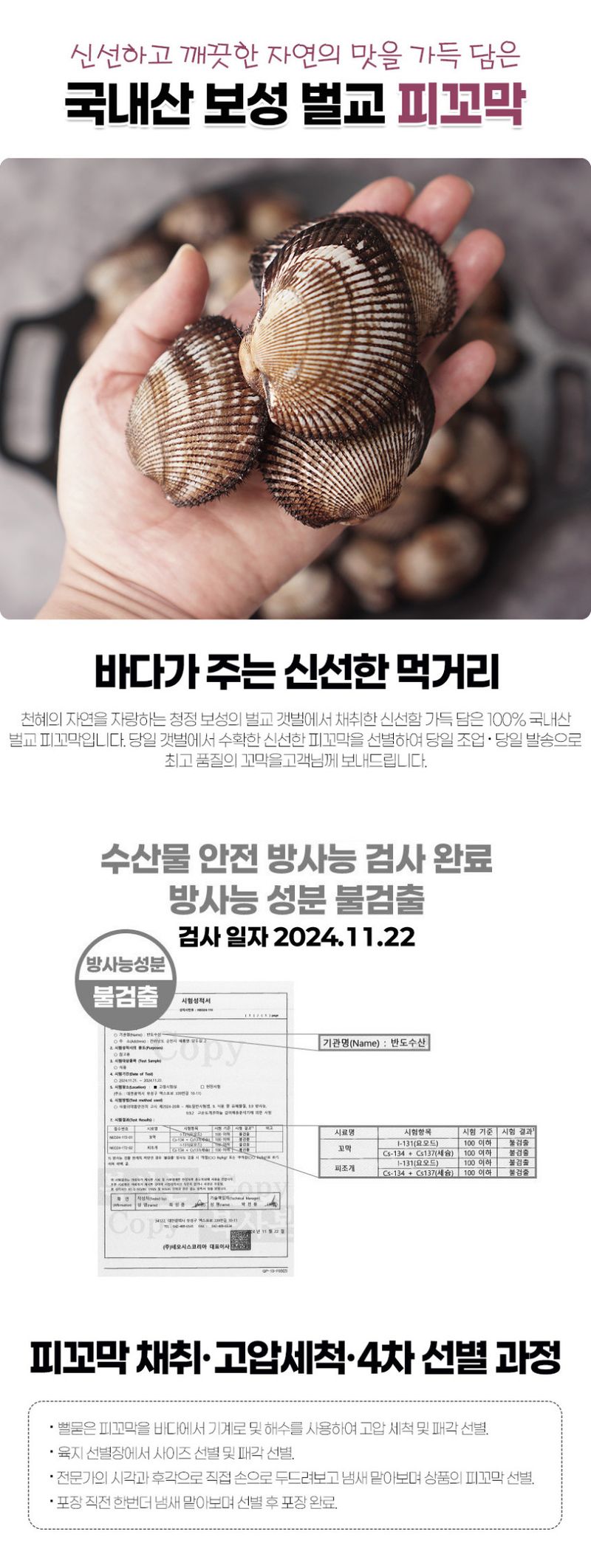 초록미소농장님의 장터 판매 상품 [초록미소 산지직송 보성 벌교 피꼬막 1kg 당일 조업한 피꼬막을 판매합니다.] 첨부 사진