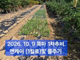 박성민님의 자유주제 · 자유게시판 작성글 사진