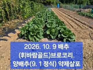 박성민님의 자유주제 · 자유게시판 작성글 사진