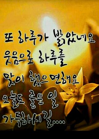 (팽나무*공주)님의 자유주제 · 자유게시판 작성글 사진