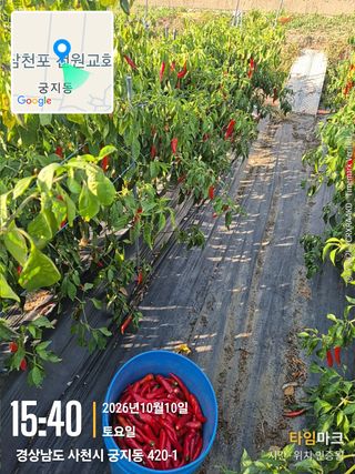 사천시향촌동 돼지띠님의 자유주제 · 자유게시판 작성글 사진