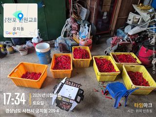 사천시향촌동 돼지띠님의 자유주제·자유게시판 작성글 사진