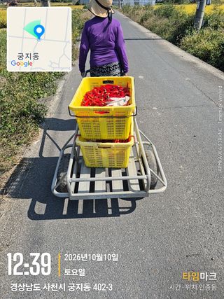 사천시향촌동 돼지띠님의 자유주제 · 자유게시판 작성글 사진