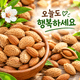 홈 갤러리 이미지