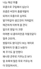 팜모닝 자유주제·자유게시판 게시글 이미지