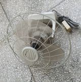 팜모닝 자유주제·자유게시판 게시글 이미지