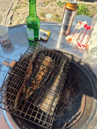 이정민님의 자유주제 · 자유게시판 작성글 사진