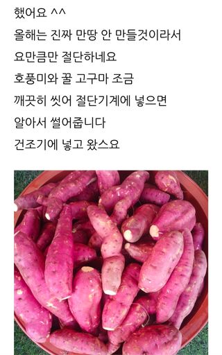삼성농산님의 고구마·자유게시판 작성글 사진