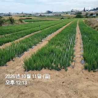 민들레님의 자유주제 · 자유게시판 작성글 사진