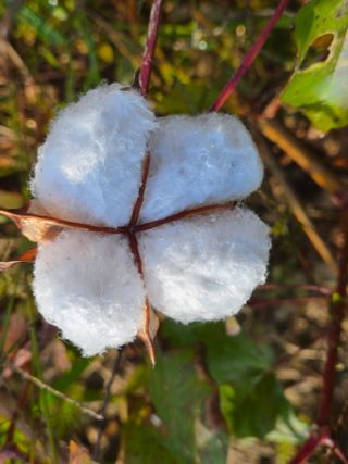 한상경님의 자유주제 · 사진전 작성글 사진