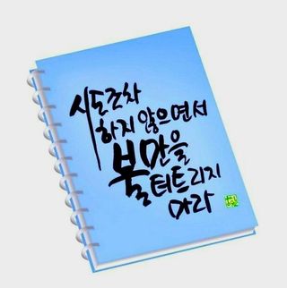 (팽나무*공주)님의 자유주제 · 자유게시판 작성글 사진