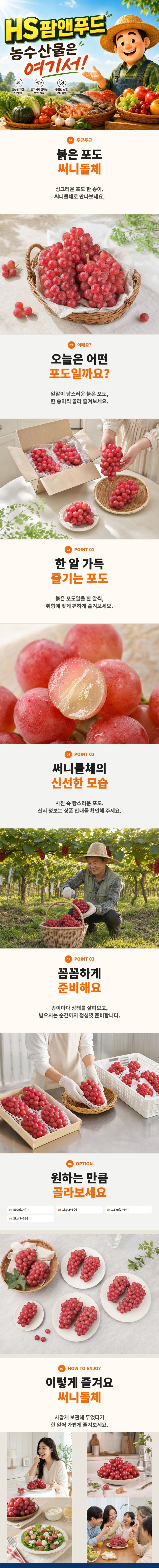 HS팜앤푸드님의 장터 판매 상품 [써니돌체 포도 고당도 아삭한 산지직송 씨없는포도 하우스 국내산 껍질째먹는 제철과일] 첨부 사진
