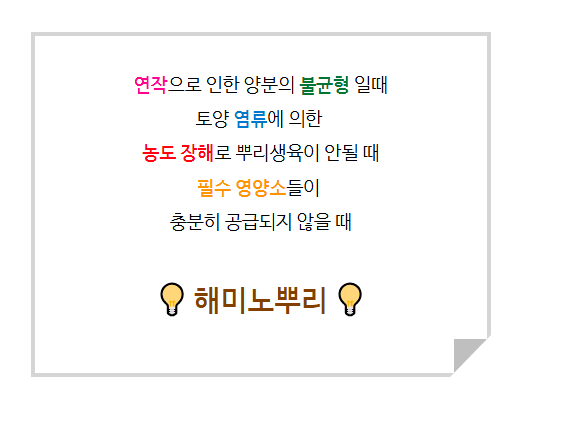 병천아그로(주)법인님의 장터 판매 상품 [해미노뿌리 5L 뿌리발근제 풀빅산 휴믹산 아미노산 해조추출물 식물영양제] 첨부 사진