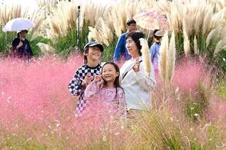 국중선님의 자유주제·자유게시판 작성글 사진