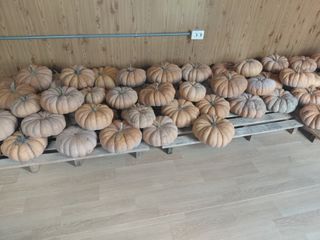 박종식님의 자유주제 · 자유게시판 작성글 사진