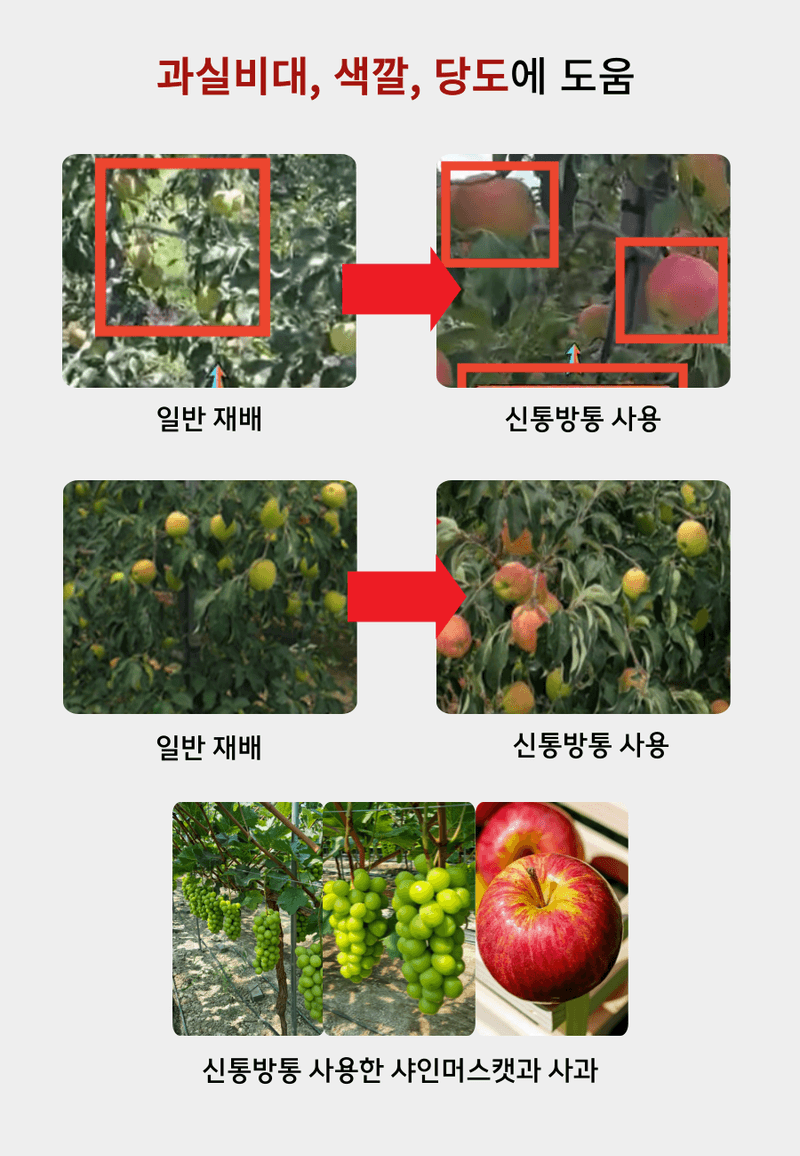 병천아그로(주)법인님의 장터 판매 상품 [신통방통 500ML 특수미생물 천연효소제 토양미생물제 뿌리영양제 식물영양제 두더지퇴치] 첨부 사진