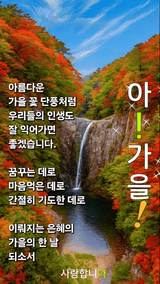 팜모닝 자유주제·자유게시판 게시글 이미지