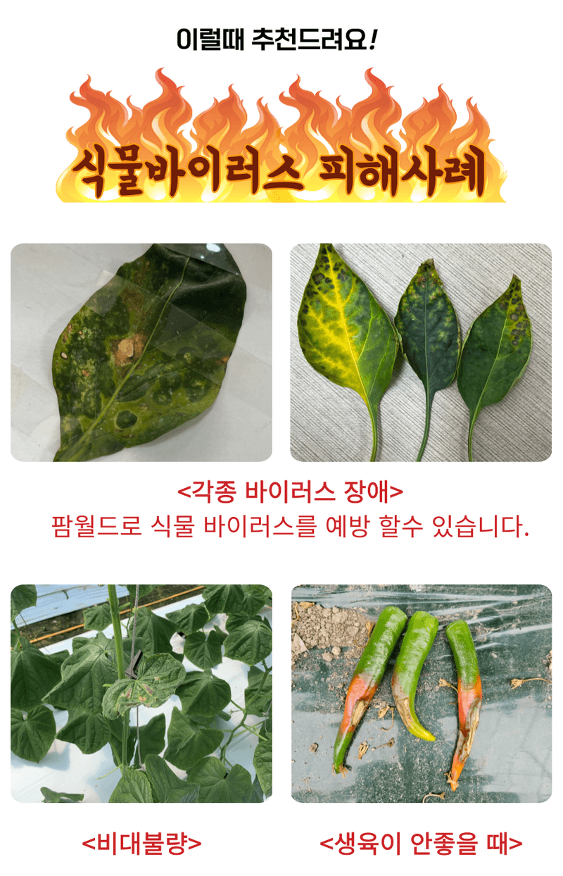 병천아그로(주)법인님의 장터 판매 상품 [팜월드 500ml 고추 바이러스 식물영양제 화분영양제 비료 칼라병 경농] 첨부 사진