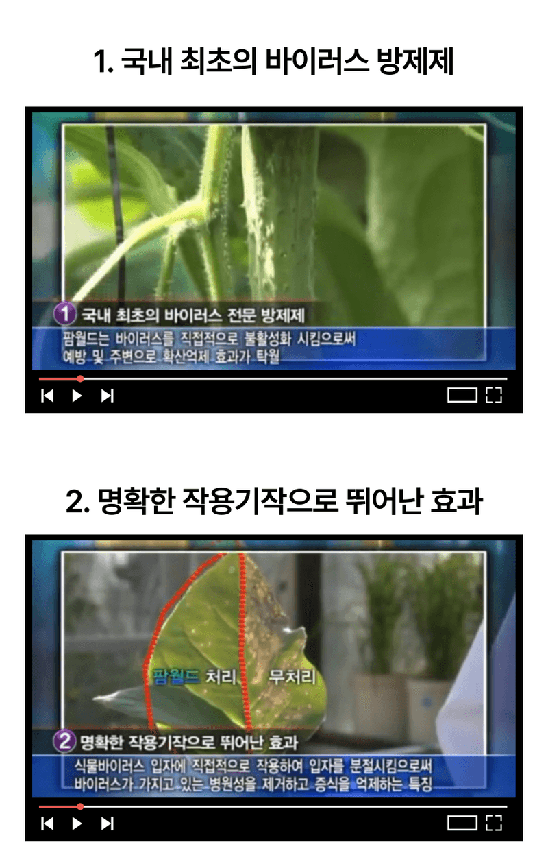 병천아그로(주)법인님의 장터 판매 상품 [팜월드 500ml 고추 바이러스 식물영양제 화분영양제 비료 칼라병 경농] 첨부 사진