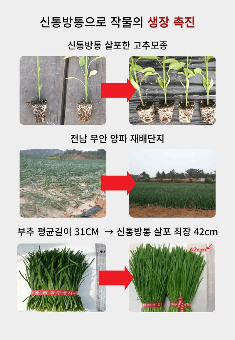병천아그로(주)법인님의 장터 판매 상품 [신통방통 1L 특수미생물 천연효소제 발근력향상 토양개선 액체비료 식물영양제] 첨부 사진